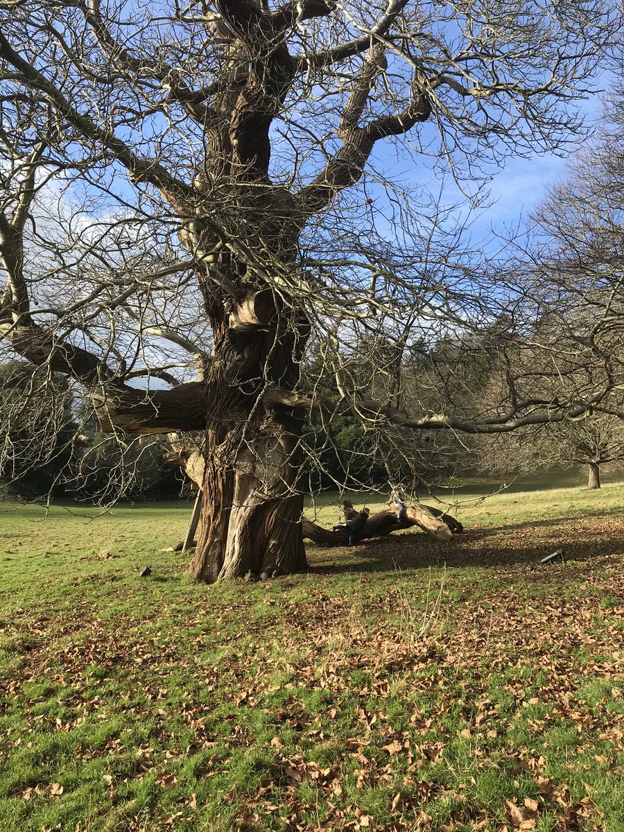 exploringexeter's tweet image. Gotta love a day out at @NTKillerton ❤️ #exeter #ExploringExeter