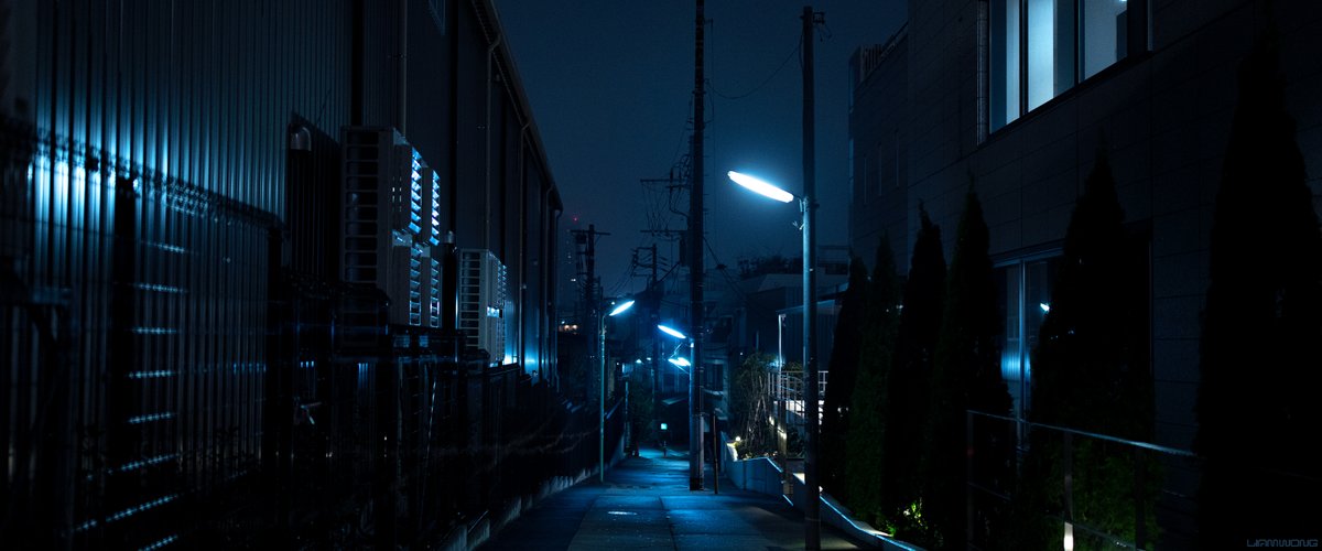 Photography by Liam Wong of Tokyo at night. Captured on a foggy night at 3am. The images are cold blue in color. A wide alley shot lit with halogen lamps - it is empty and the ground is reflective from the rain.
