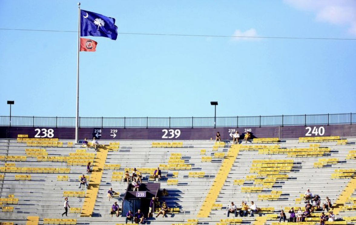 Friendly reminder of why Gamecocks will be saying #GeauxTigers tonight.