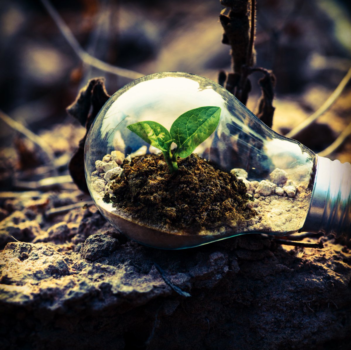 Data centres account for 2% of the world’s carbon emissions. Do you have a bright idea? If so, drop us a message about building your website on a carbon positive platform weir.design