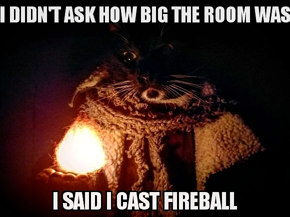 Download Cat Cosplay على تويتر Alright Share Your Favorite D D Memes Go Desktop Wallpaper Free Wallpaper Cat Cosplay على تويتر Alright Share Your Favorite D D Memes Go For Android