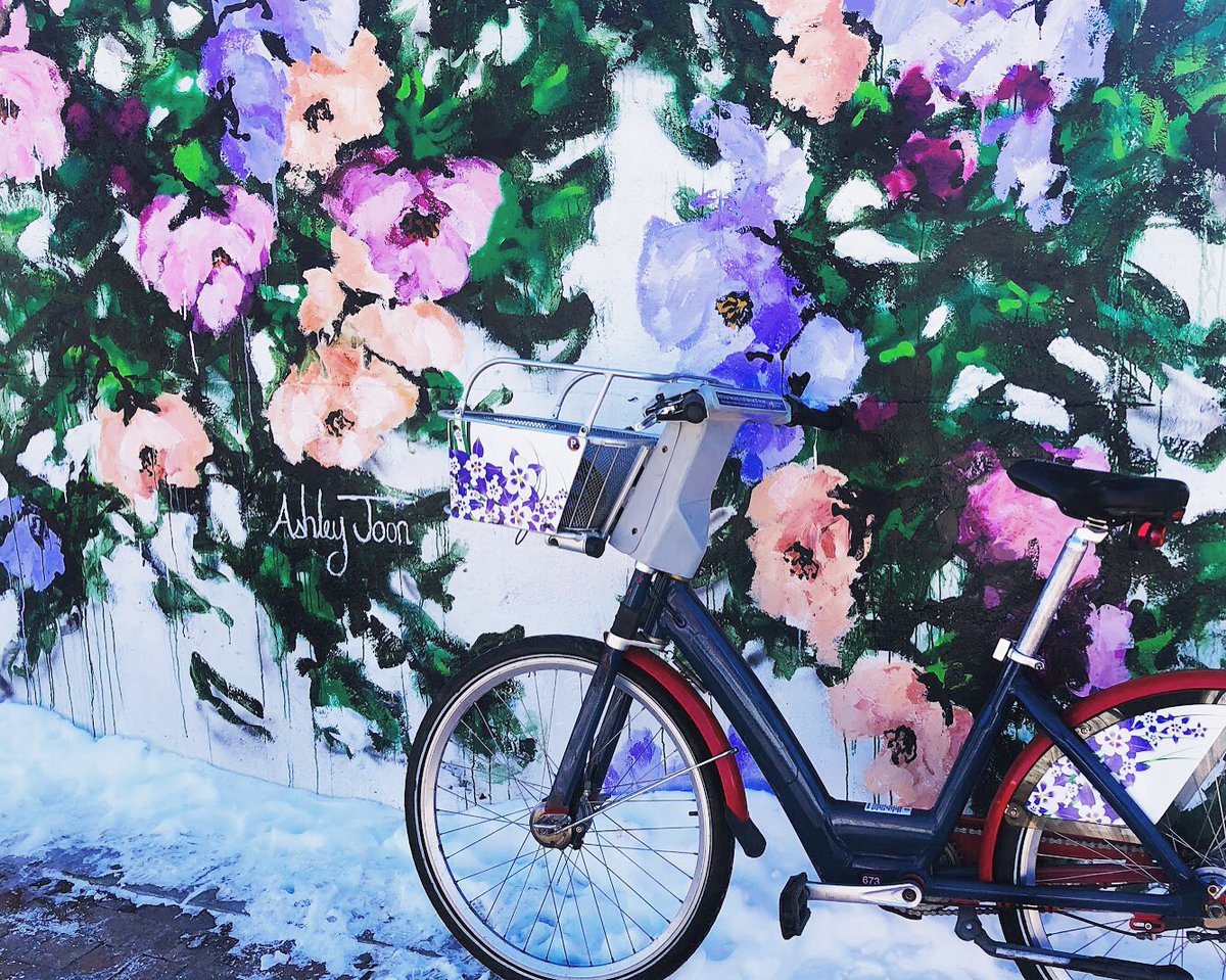 DenverBikeShare's tweet photo. Our bike is (almost) camouflaged into this amazing floral piece by Ashley Joon! There's still a lot of winter left but these flowers have us dreaming of spring! 🌺 #MuralMonday https://t.co/8ezl6phXIT