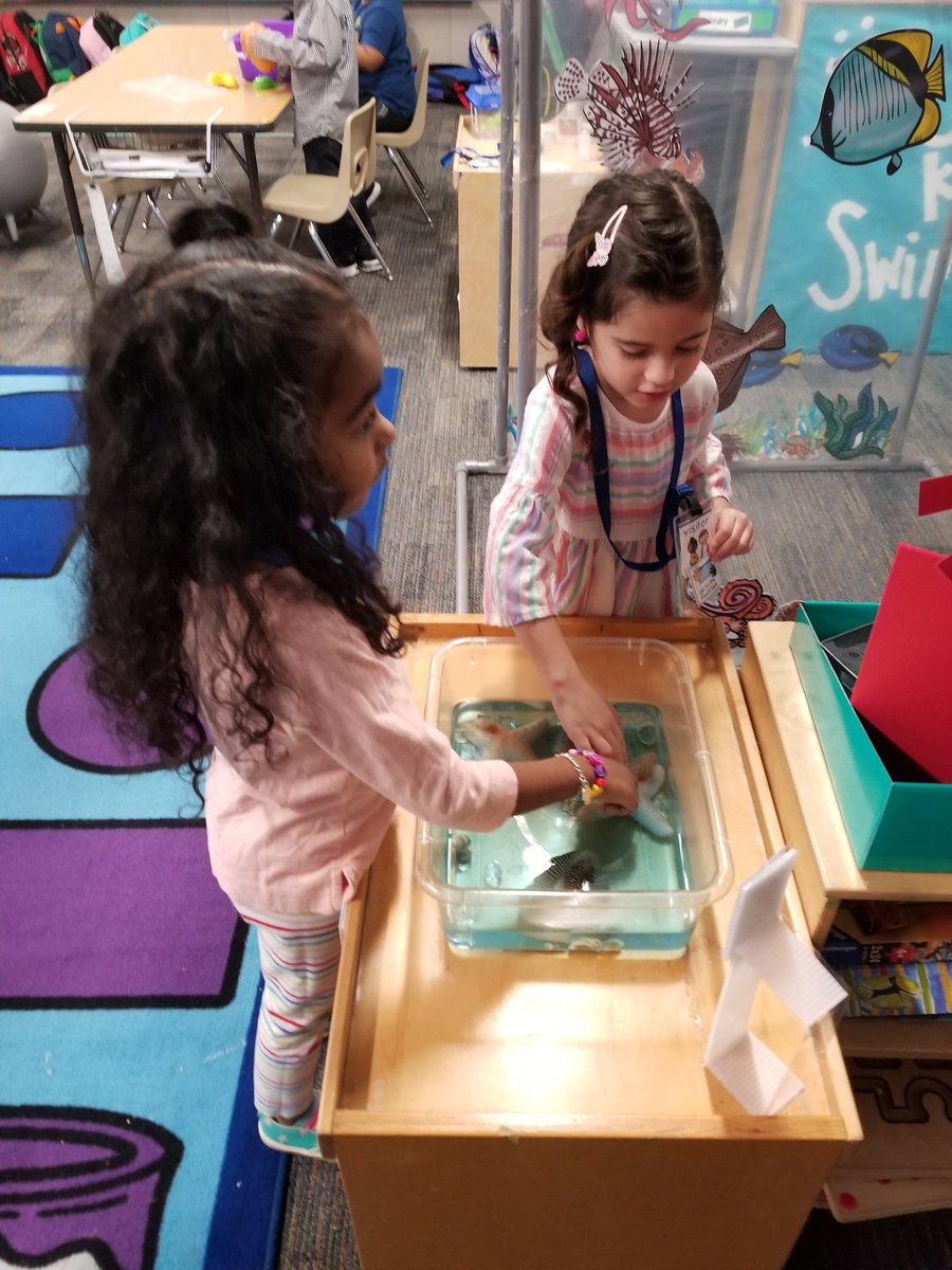 MsKennedy tweet media