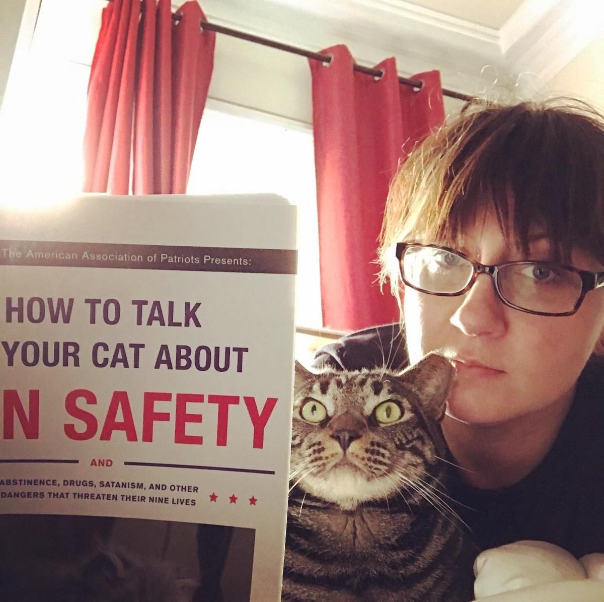 cursed presents on X: How to Talk to Your Cat About Gun Safety