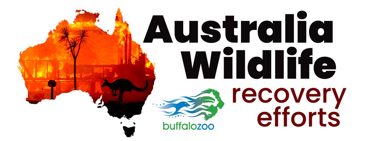 A portion of every Buffalo Zoo admission and parking fee sold during Jan and Feb will be donated to <a href="/ZoosVictoria/">Zoos Victoria</a>  Bushfire Emergency Wildlife Fund. All funds raised will be used for critical care and long-term recovery of Australian wildlife. bit.ly/2TgHkzr