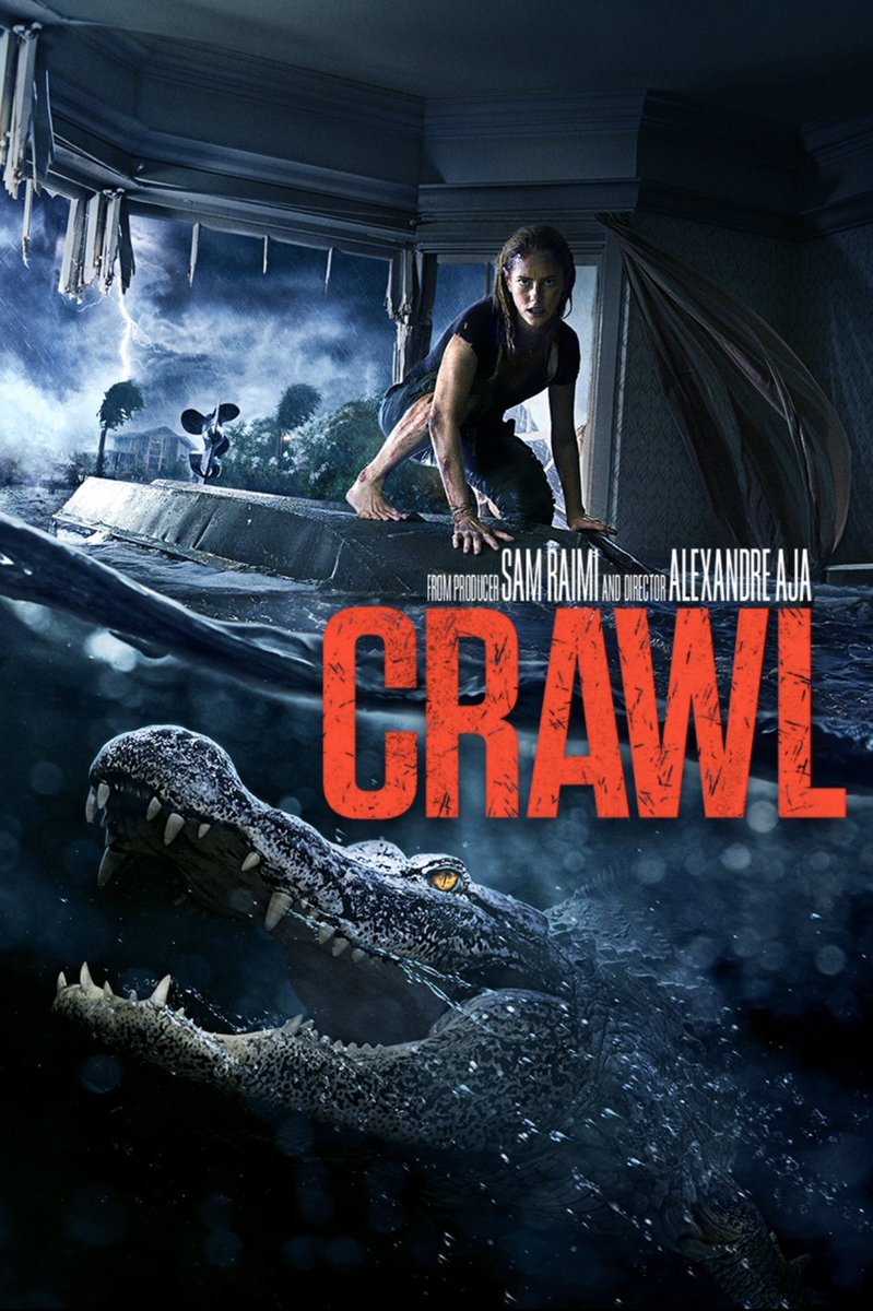 31. Crawl (2019)Alexander Aja returns with the second best film of his career - a bloody BRILLIANT, great fun, ridiculous b movie of bloodthirsty alligators surrounding Effie from Skins and her dad in their Florida home in the midst of a devastating hurricane. Masterful, a romp