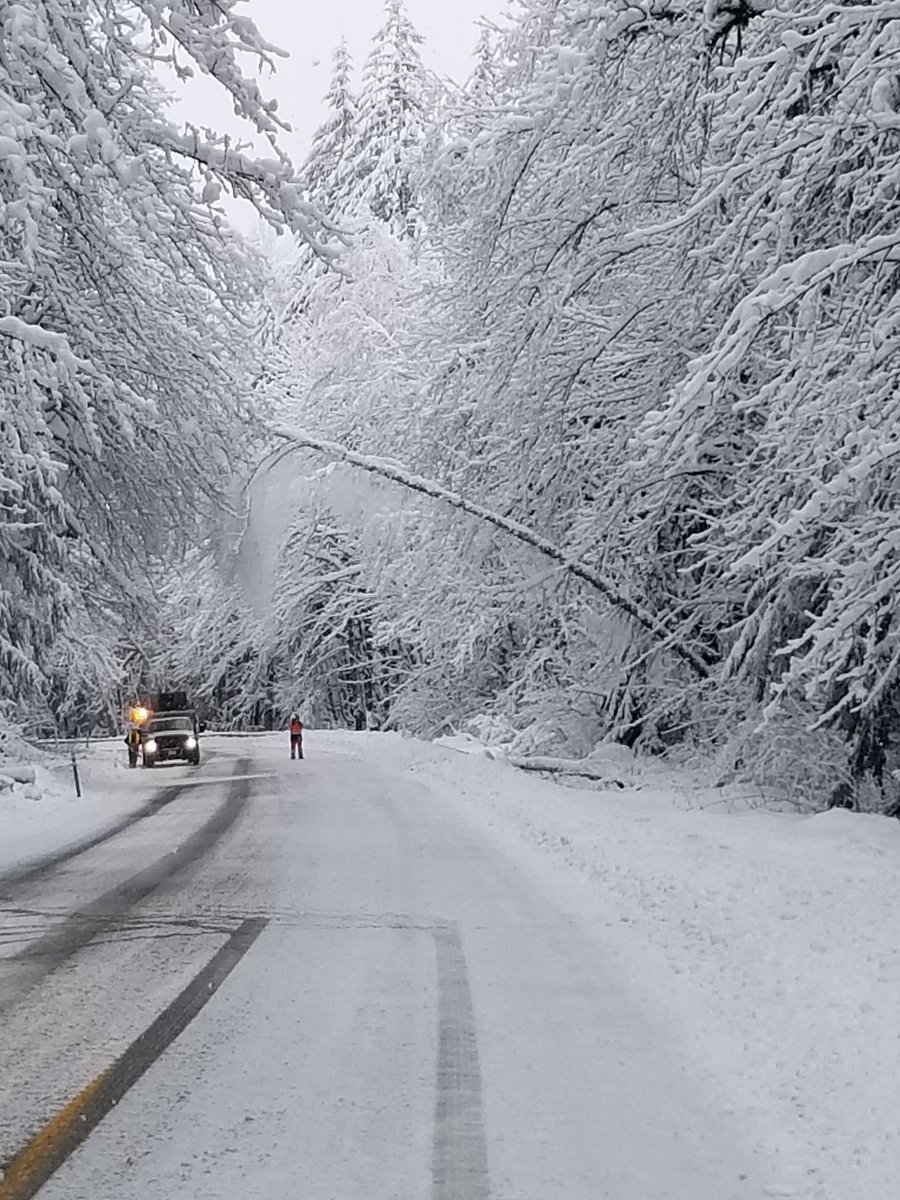 wsdot_traffic's tweet photo. UPDATE US 2 between Gold Bar and Stevens Pass summit in both directions will remain closed until further notice because of downed trees and power lines. Here's a look at the conditions behind the closure point. #snow https://t.co/baWN7HTFis