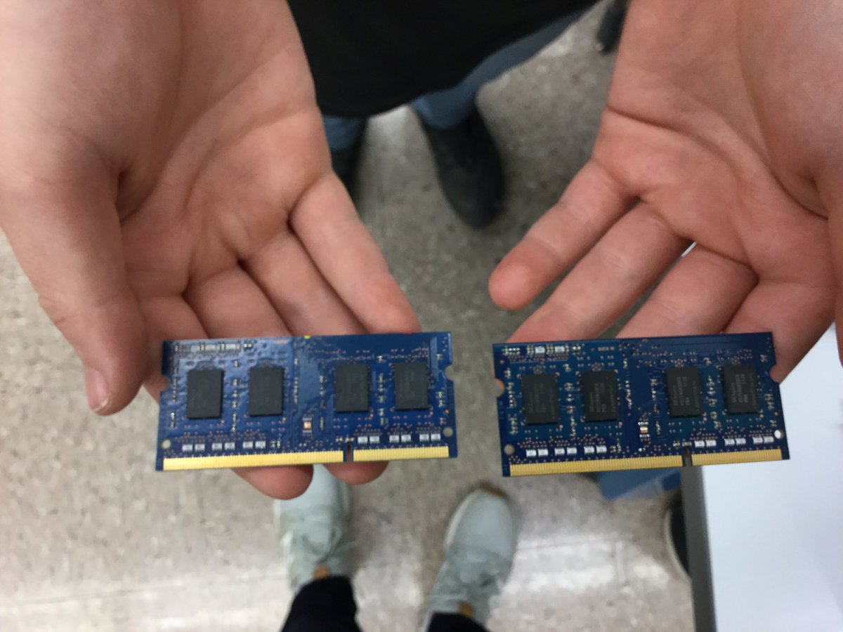 Kaytlin Bortolani tweet media