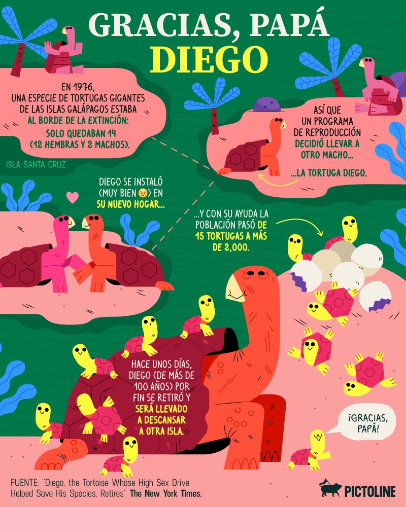 pictoline's tweet photo. Diego, una tortuga de más de 100 años, ayudó a repoblar una isla de las Galápagos 🐢x2000

Hace unos días se anunció su retiro y solo podemos decir: ¡Gracias, Diego! 🙌 https://t.co/aHhZ5tgTAy