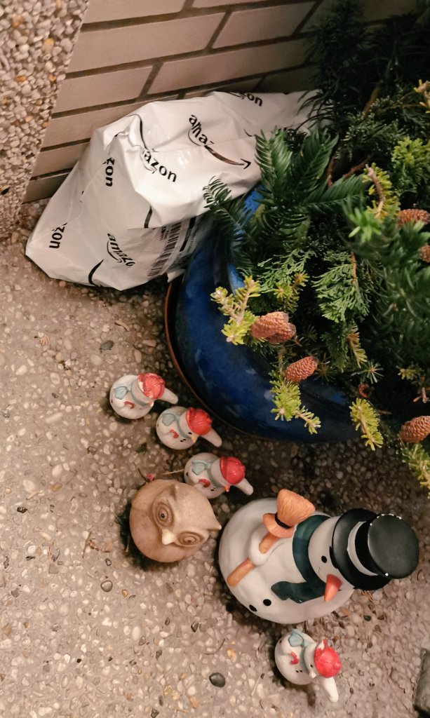 Laleekob's tweet photo. Ich weiß zwar nicht, ob sich Pinguin und Eule selbst als Hausbewohner bezeichnen würden, aber der Paketzusteller sieht sie wohl als vollwertige Familienmitglieder, denen man Pakete zustellen kann... Nun gut💁‍♀️ https://t.co/wTo1X8v6VR