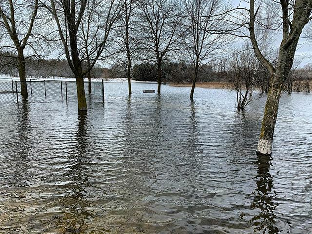 StanStreams's tweet photo. It’s not spring yet, but it sure looks like it! The grand river watershed experienced record rainfall this weekend. This type of unpredictable weather has become more common in recent years. Stay safe and dry out there.  #grandriverconservationauthority #flooding #springhass… https://t.co/rDre16XVOc
