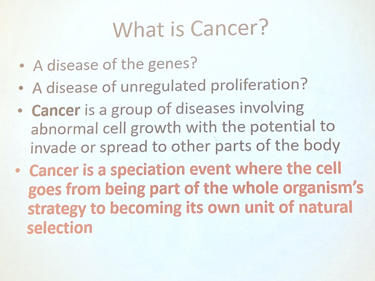 ara_anderson's tweet photo. Now @Sciurusniger asks what is cancer? And discusses convergent evolution, evolving evolvability, and the origins of lethal cancer #ThinkFest20 https://t.co/EKesrVyqsh