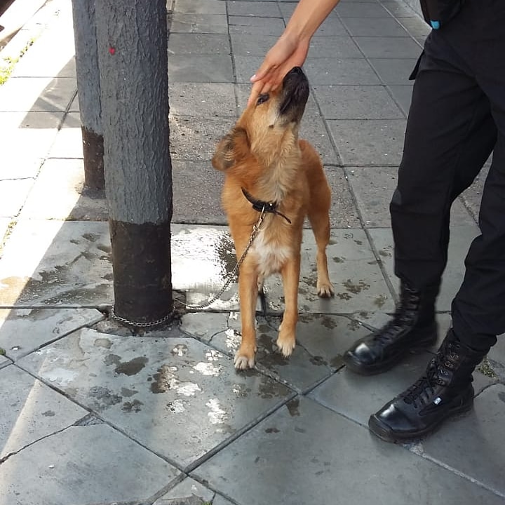 Jujuy y Moreno, Caba. Ahora 18hs #Balvanera #Once #Sancristobal de quién es???