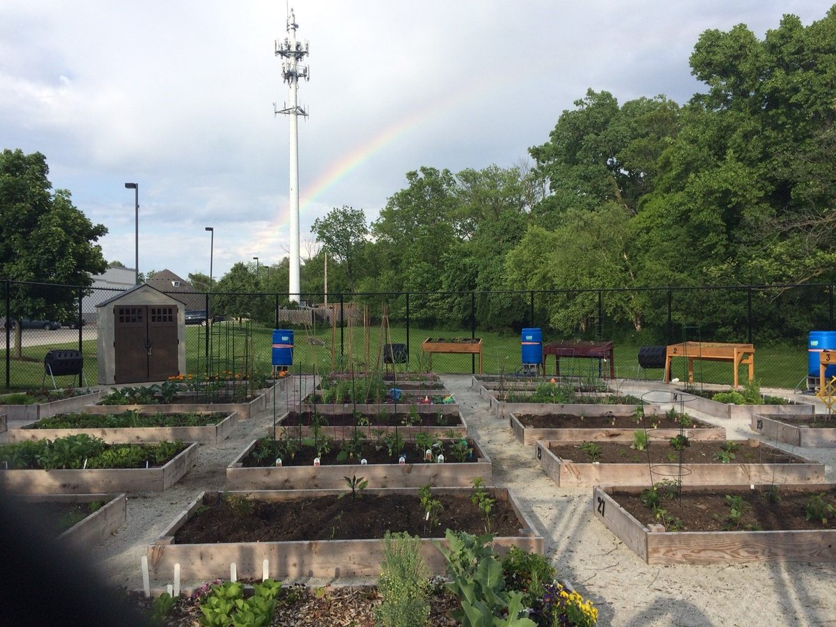 VNilesIL's tweet photo. The 2020 application for Farm on Franks is open! Apply for a plot at the community garden by going to https://t.co/tPwa8TL0cQ. Deadline is 3/20/20. #itspossiblehere #communitygarden #farmonfranks #niles https://t.co/wC1yEfDwYI