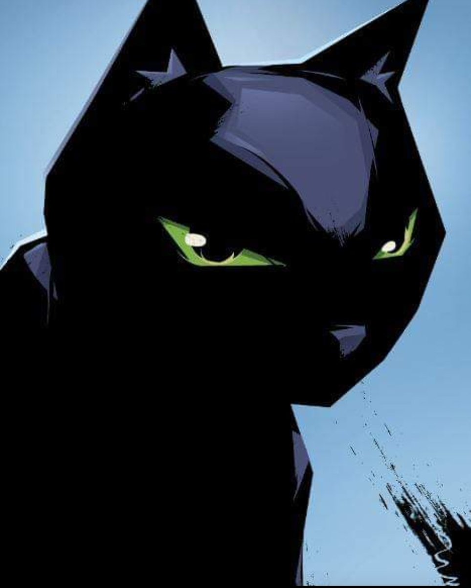 HeroCatComics's tweet photo. Midnight Monday! #herocatsonline #cats #comics
#midnightoverstellarcity #midnightmonday #blackcat #clawsofjustice https://t.co/hMmGBT5wUO