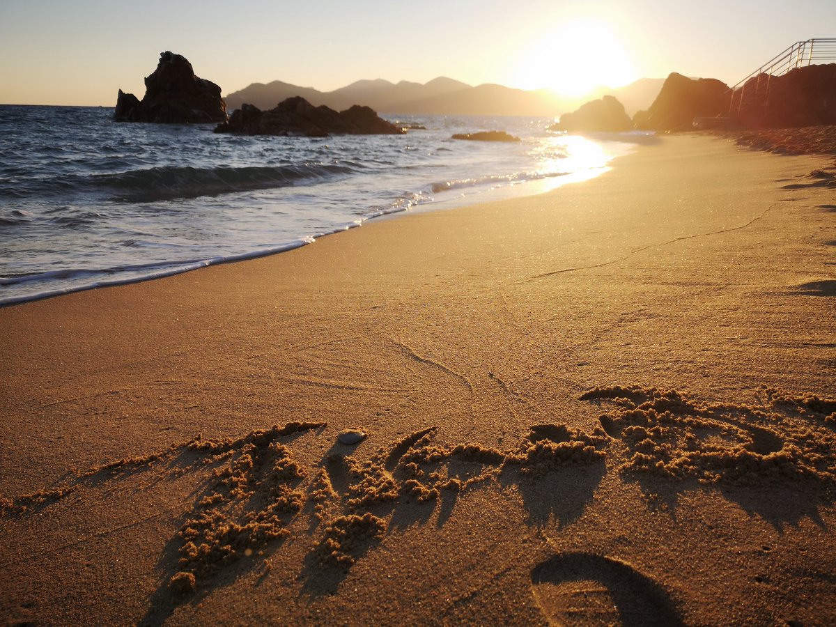 tigoboANIMATION's tweet photo. Cannes va encore nous surprendre !
Belle Provence !
#tigobo #tigobostudios #tigoboschoolpro #meetzeartists #beach #labocca #labyrinthstudios #music #sun #méditerranée https://t.co/kgdrBND4bS