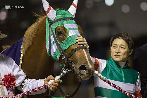 阿部典子 キャロットクラブ会報1月号で最後まで掲載候補に残り 結局は割愛した写真 御神本騎手に何度も撫でてもらっていたブロンディーヴァ ローレル賞 ブロンディーヴァ キャロットクラブ T Co Aejsdged5h Twitter