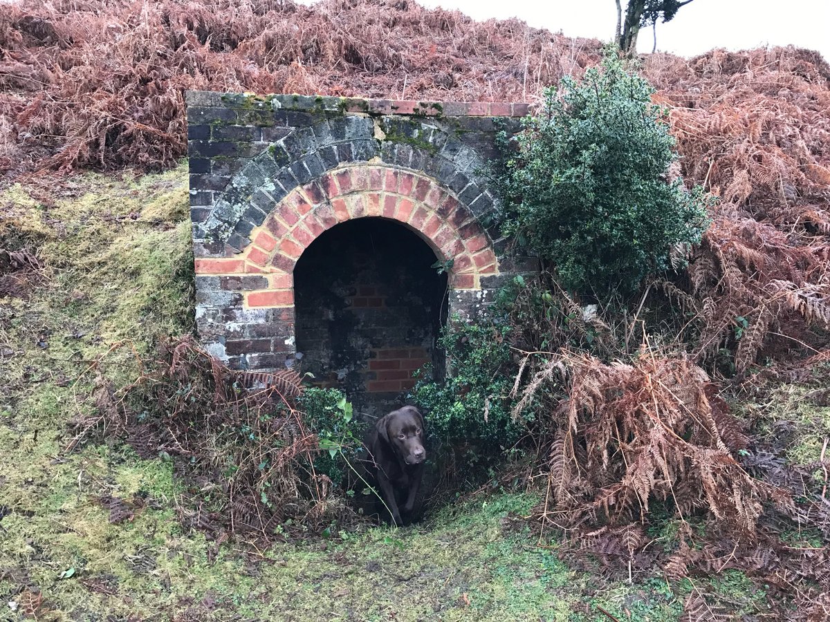 Still trying to find out info on this building! It is near the sub pens Hampton ridge, does anyone know ? Cheers