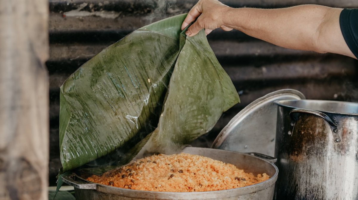 localguestpr's tweet image. Most of our experiences include an amazing community lunch made by #locals! This way you get to support the community and a chance to try #authentic puertorican food. It's a win-win 👍 #localguest