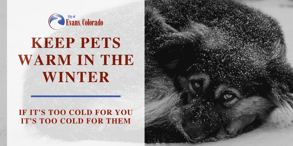 EvansColorado's tweet photo. Please remember to keep your pets inside, or provide warm shelter for them, when the temperature gets extreme.  If it's too cold for you, it's too cold for them.  Keep your furry friends safe.

#warmpets #happypets #wintersafety #cityofevans https://t.co/yQeuTYLq3Z