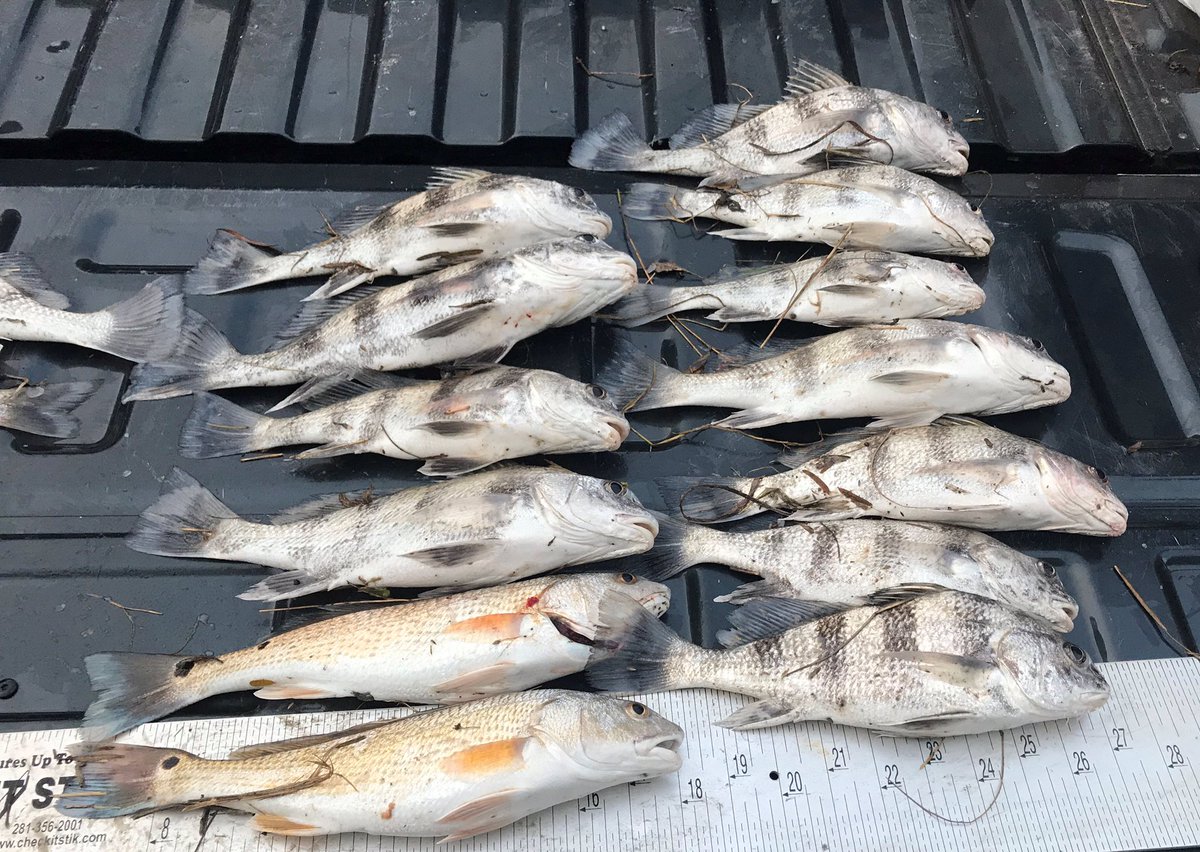 TexasGameWarden's tweet photo. Cadets from the 63rd Academy Class who traveled to the middle-coast were exposed to duck hunters, recreational fisherman and commercial oyster boats. This is vital training that will help them successfully hit the ground running upon graduation. #TrainLikeYouWork #63rd https://t.co/QWzY6yL0xM