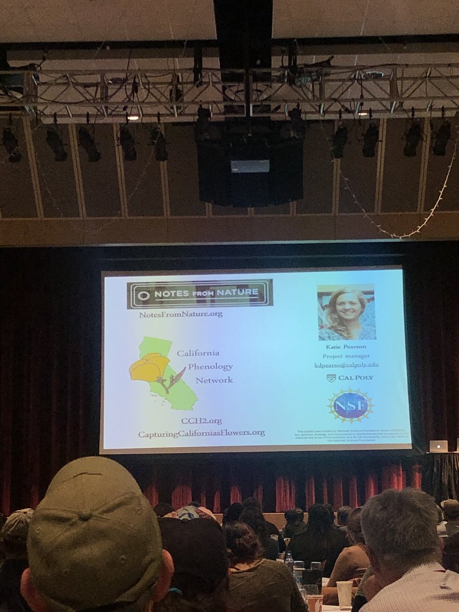 naomibot's tweet photo. .@TheMereKat tell us about using @nfromn to harness the power of technology to collectively digitize herbarium specimens. We can help to bring these dark data to light! #norcalbot2020 https://t.co/uDyTjGXVSe
