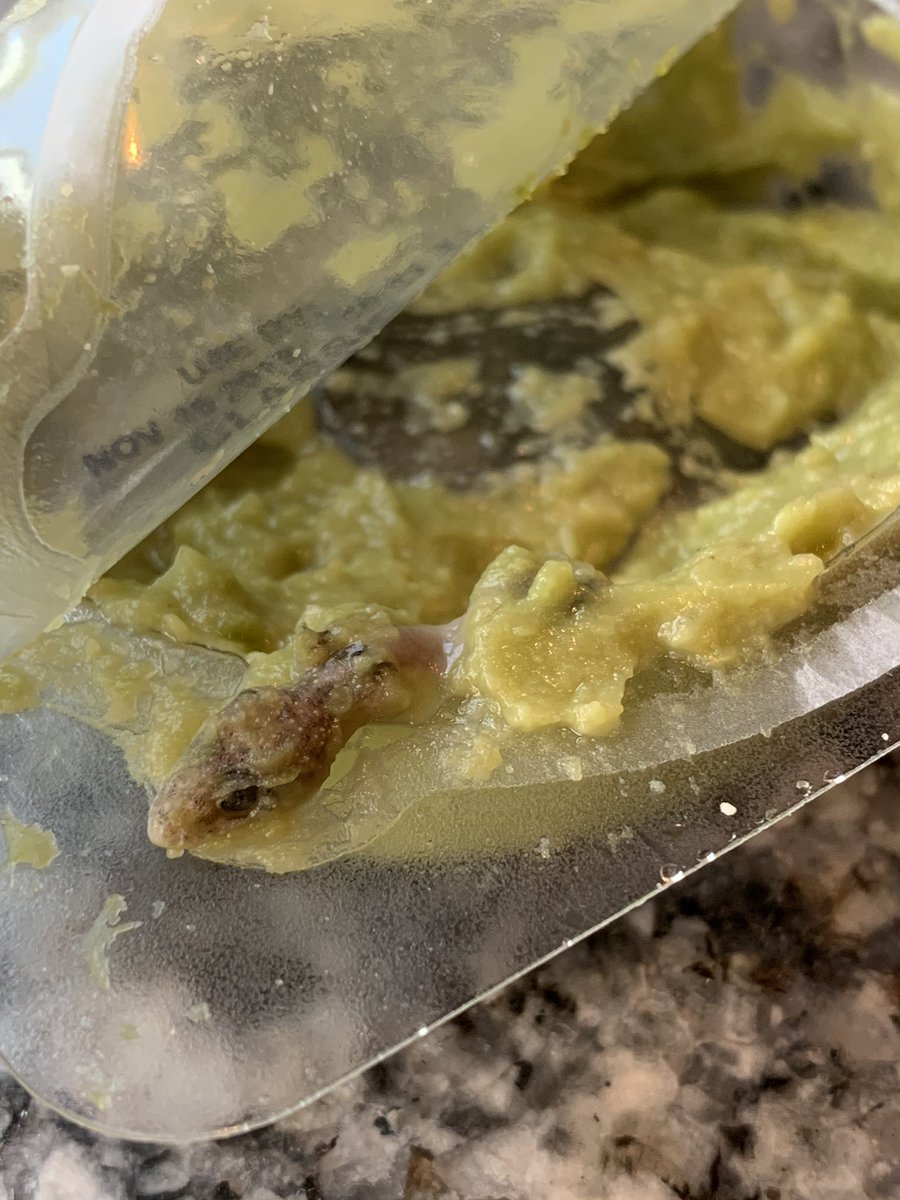 rroush58's tweet photo. I gave @AldiUSA a few months before posting this. We found a lizard in our guacamole dip. Went to the store, filled out a paper, and never heard back. But hey, they have us our $6 back. 🤮 I think I’ll stick with @Costco from now on. https://t.co/Zj4Zr1IiXQ