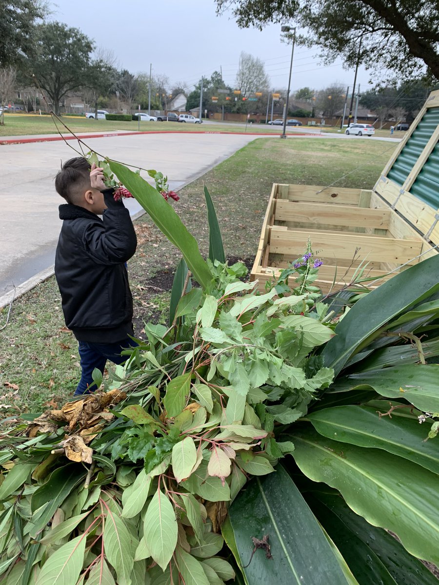 IrshadRTGG's tweet photo. Second graders at @HorneElementary helped to compost some garden scrapes with their very own #CompostBox! 🌿🌱🍂 @CyFairISD @readygrowgarden https://t.co/Q6WqiEctv7