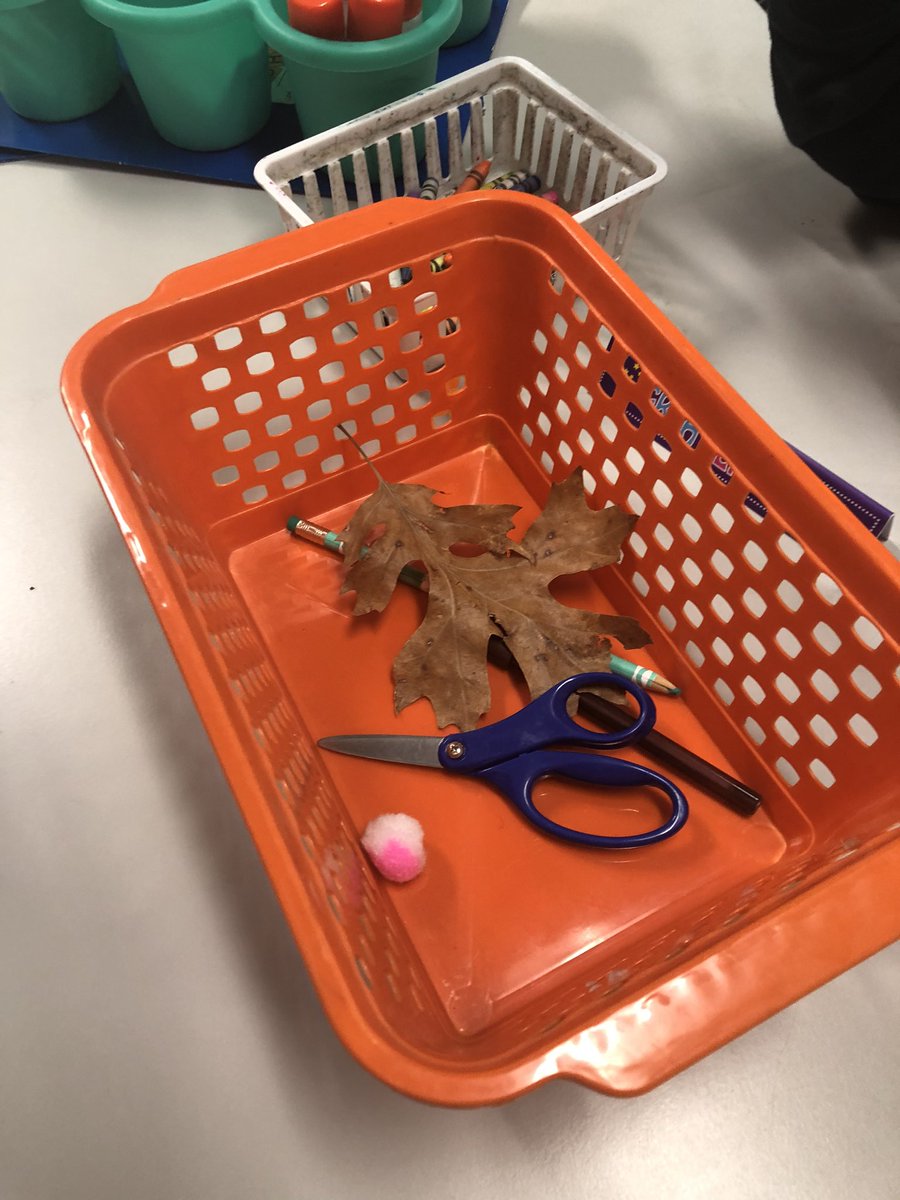 Heather Judd tweet media