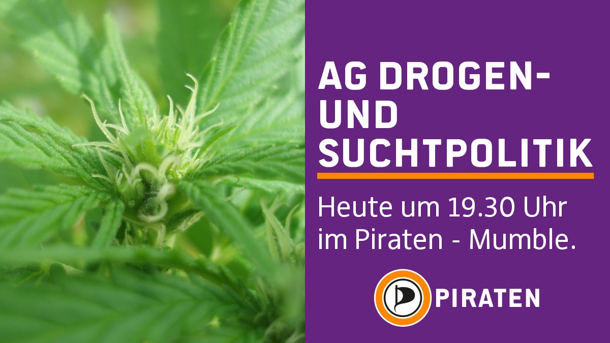 Bild/Foto
