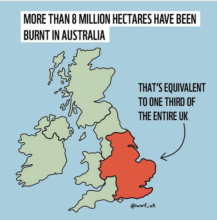 If you are able, donating to #australia to help with their fire crisis is a great idea! This article has a helpful list of places to donate ---> nytimes.com/2020/01/06/wor…