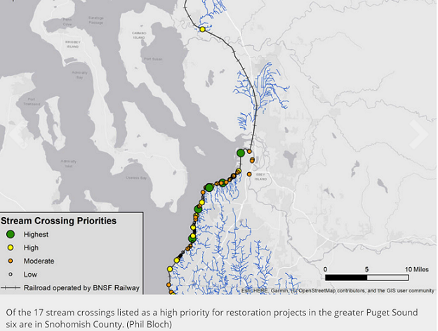 BNSF Railway stream crossings listed as a high priority for restoration projects in the greater Puget Sound, six are in Snohomish County. (Phil Bloch)