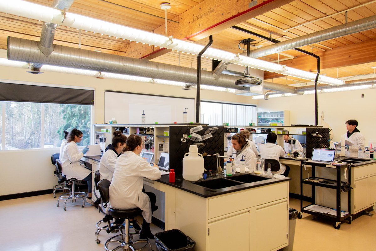 TrinityWestern's tweet image. REMINDER: Add/Drop deadline for classes is in ONE WEEK (Jan. 20). Lock your class selection in! #SpringSemester #AddDrop #Reminders