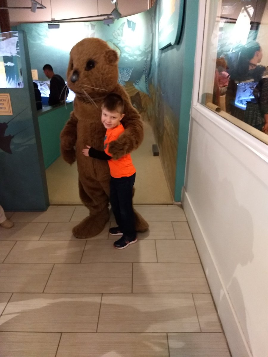 I thought I had retweeted but, just in case.  <a href="/sturgej/">jackson sturge</a> , <a href="/stevenvanrees/">Steven Van Rees</a> sea otter cuteness!