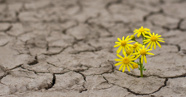 Hope is important
 - Forget your experience. For too many that kills hope. 

pakenhampro.greensidegolfer.com/pages/has-hope…