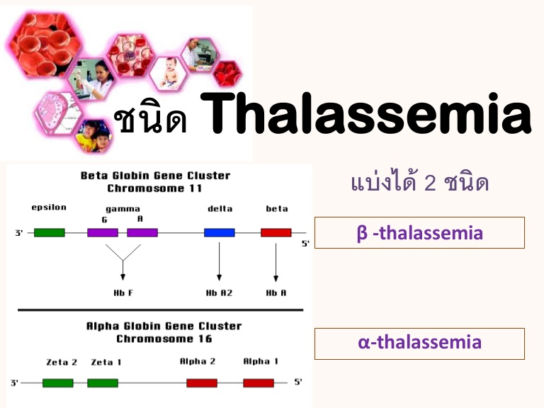 alpha and beta thalassemia parents place alpha and beta thalassemia parents place