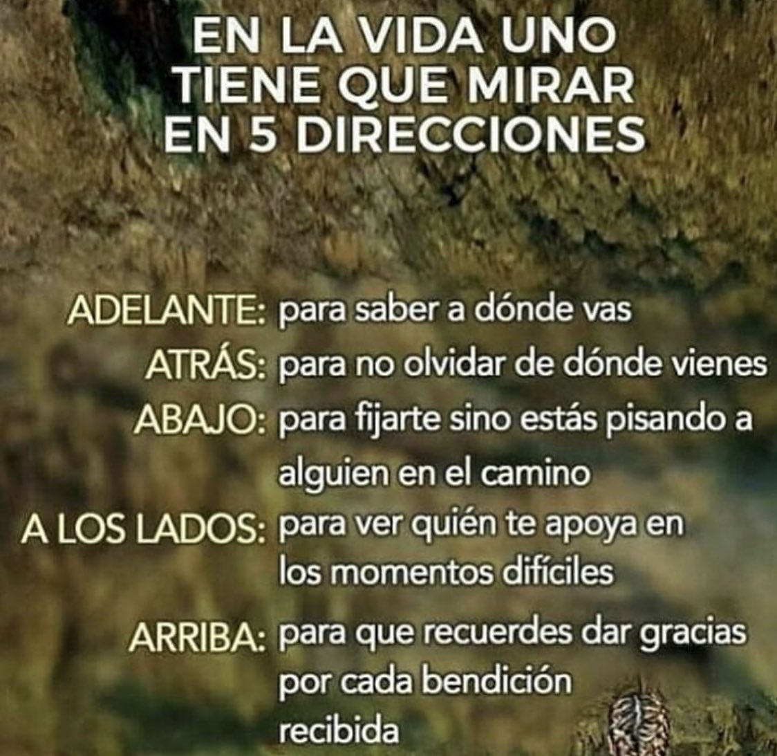 feyecruz's tweet photo. #Nochess #twitteroax En la vida... 😍😍😘🥰☺️ https://t.co/FcZmRAIx45