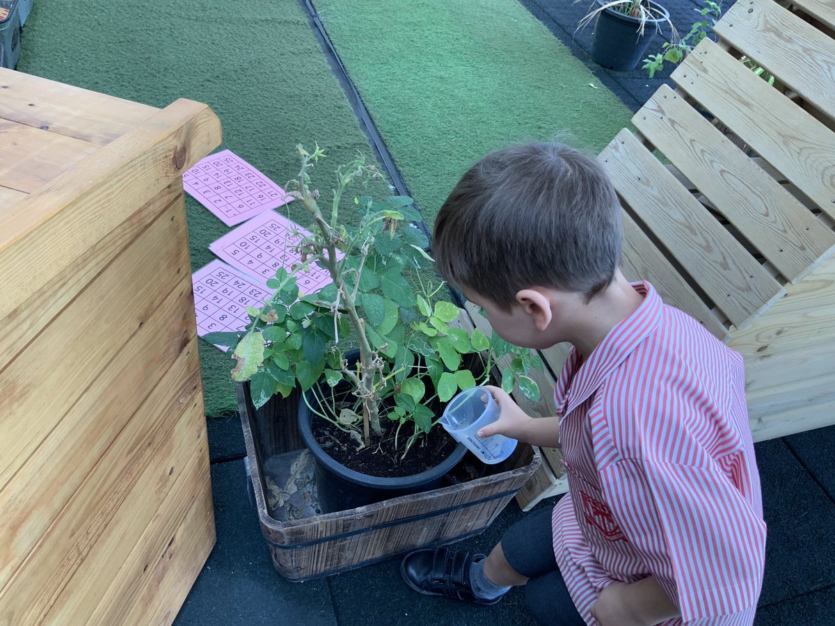 DESSCares's tweet photo. The children in FS2 found rain water trapped inside their tyres and decided to re-use the rain water to water the plants in the garden.  
What a great idea! Well done FS2Red ! These sustainability skills will certain help keep our amazing planet thriving!
#DESS_FS2_red
@DESS_FS2 https://t.co/md1gdI7HwW