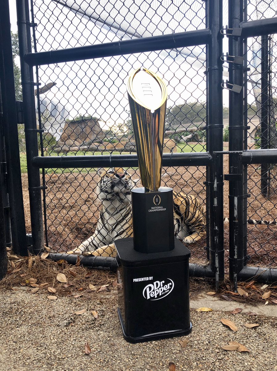 No caption needed. Geaux Tigers! #nationalchampionship