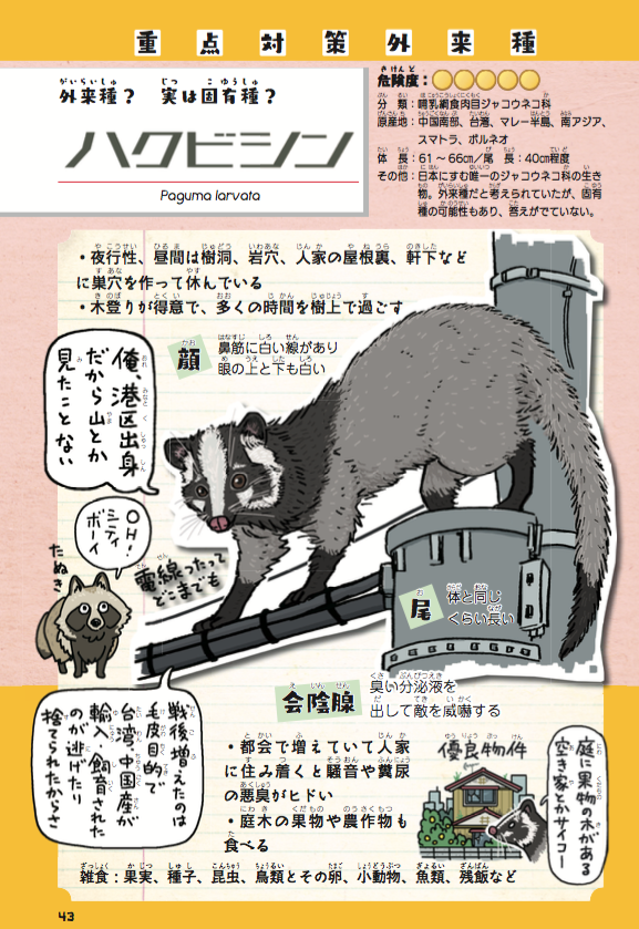 ウラケン ボルボックス なんてこった ざんねんなオリンピック物語 好評発売中 Pe Twitter ハクビシン 狸 アライグマ アナグマの見分け表を描いたので貼っておきますね 侵略 外来いきもの図鑑 もてあそばれた者たちの逆襲 T Co I1nszjmws8 ウラケン ボルボックス なんてこった ざんねんなオリンピック物語 好評発売中 Pe Twitter ハクビシン 狸 アライグマ アナグマの見分け表を描いたので貼っておきますね 侵略 外来いきもの図鑑 もてあそばれた者たちの逆襲 T Co I1nszjmws8