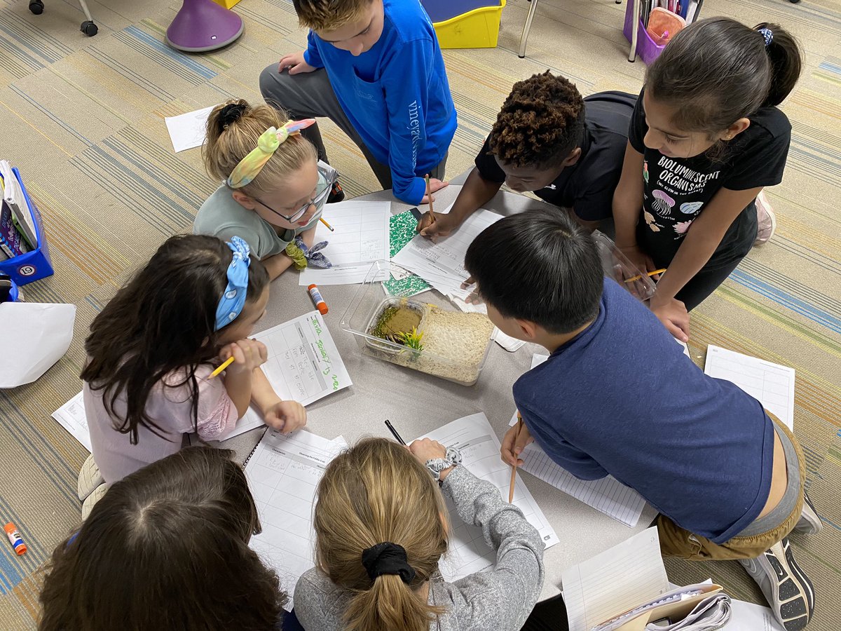 Fiddler Crabs, Millipedes and African Dwarf Frog observations are underway. This has been a very exciting time for students as they expand their knowledge about ecosystems and how they have a profound impact on their inhabitants.