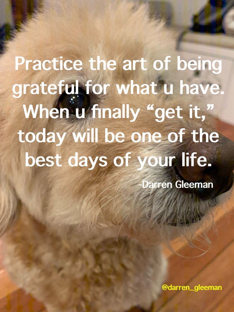 Darren Gleeman tweet media