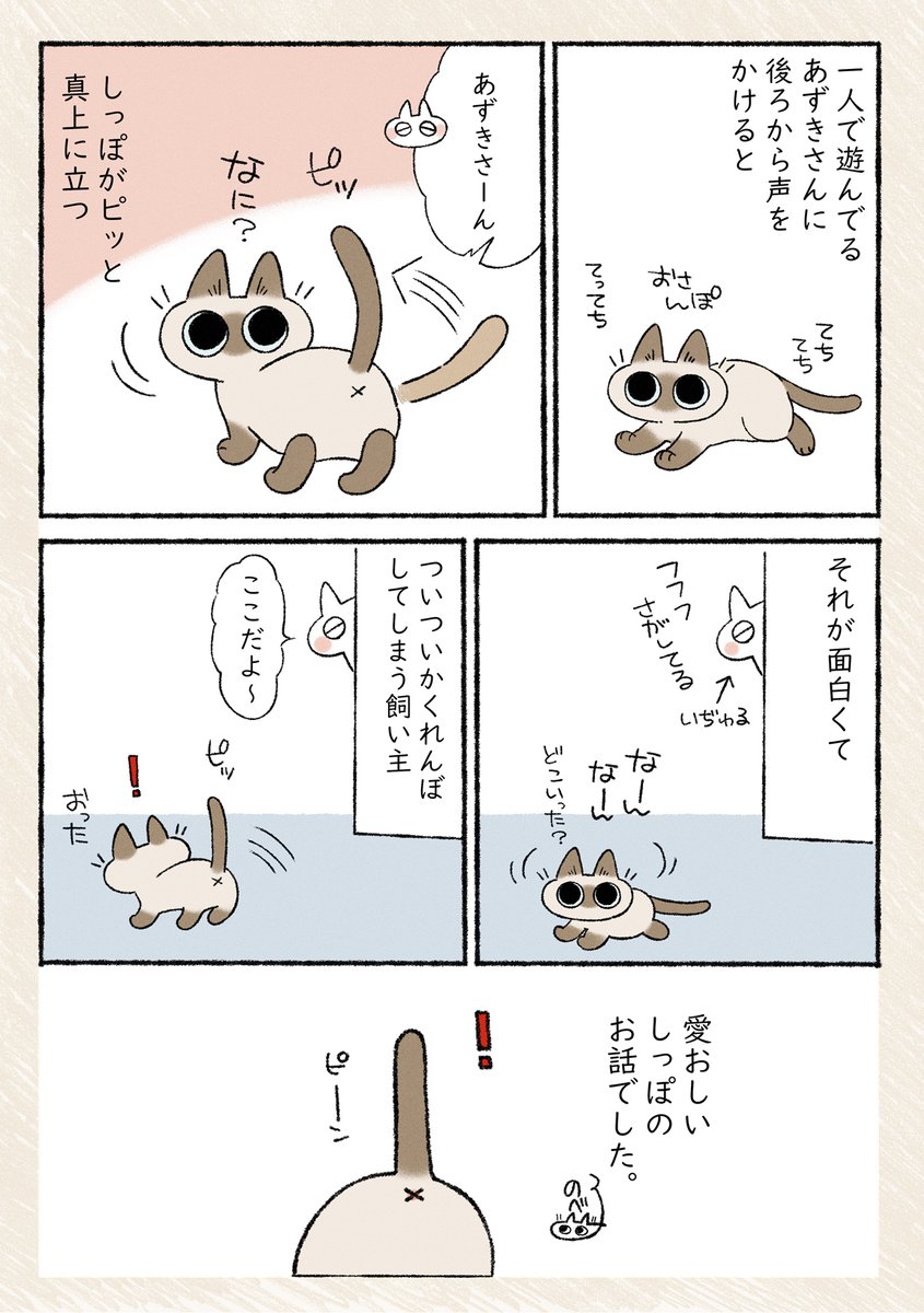 愛猫のしっぽが愛おしいので、愛猫のしっぽが愛おしいよというまんがを描きました #シャム猫あずきさんは世界の中心 