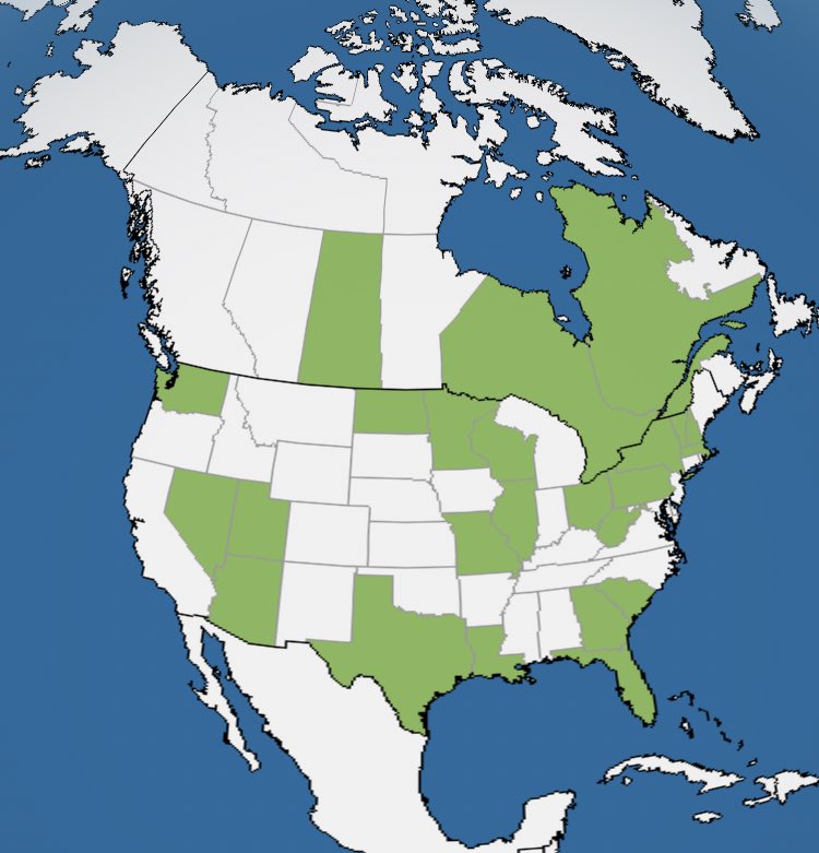 PascoSheriff's tweet photo. The map so far! #9PMRoutine 

RT if your location is green! https://t.co/BIb3PmZJ0V