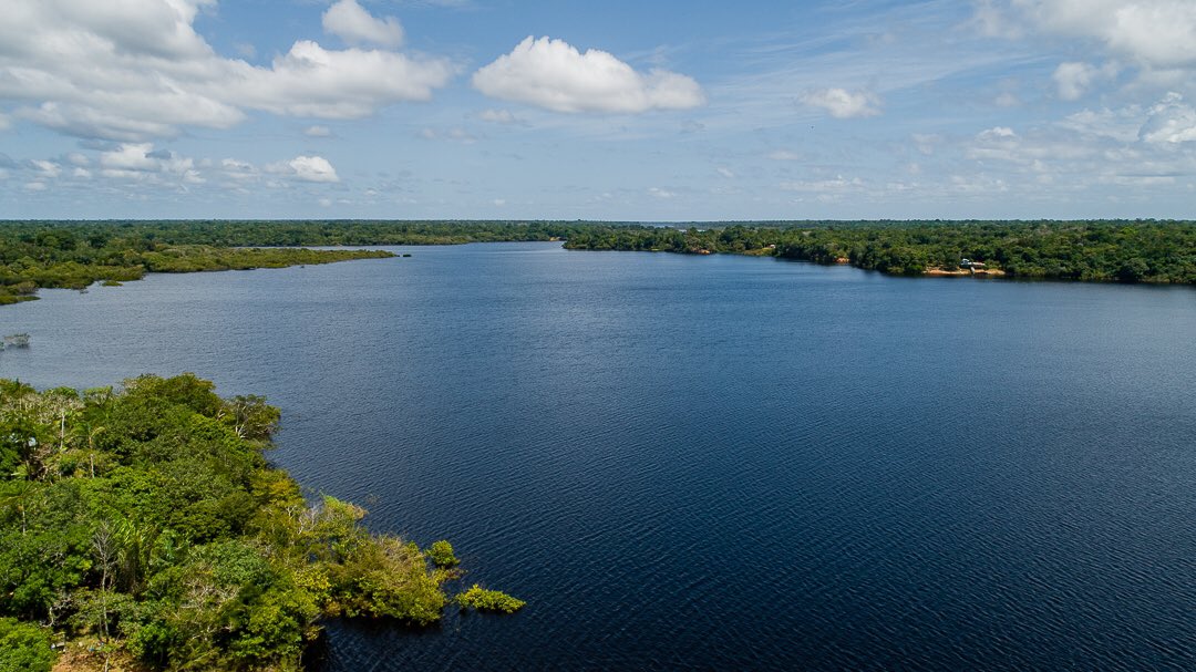 untamed_amazon's tweet photo. The Untamed Amazon allows us to get deep into this ecosystem where guests can see far more of the Amazon than if they were staying at a land-based lodge or hotel.
#ecoturismo #untamedamazon #ecotourism https://t.co/jYBkOfhiVT