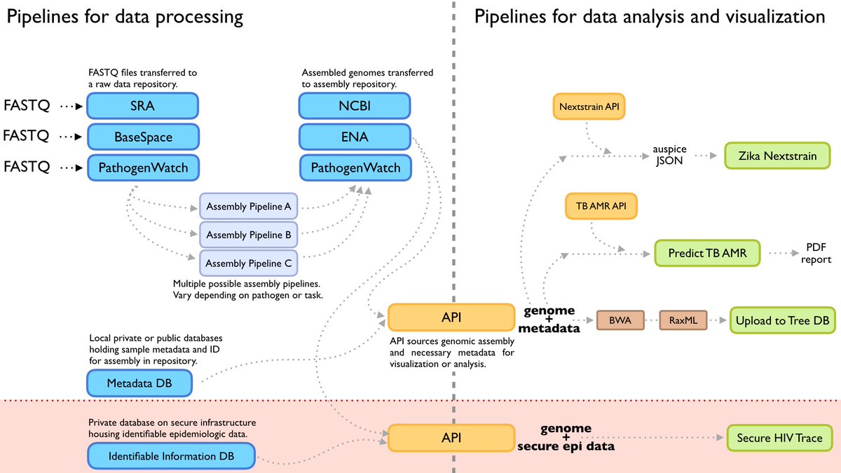 alliblk's tweet image. Together with @dmaccannell and @CDC_AMD, and on behalf of @pha4ge, we've put together 10 recommendations for supporting open pathogen genomic analysis in public health. You can read a preprint of the whitepaper here: preprints.org/manuscript/202…. 1/6
