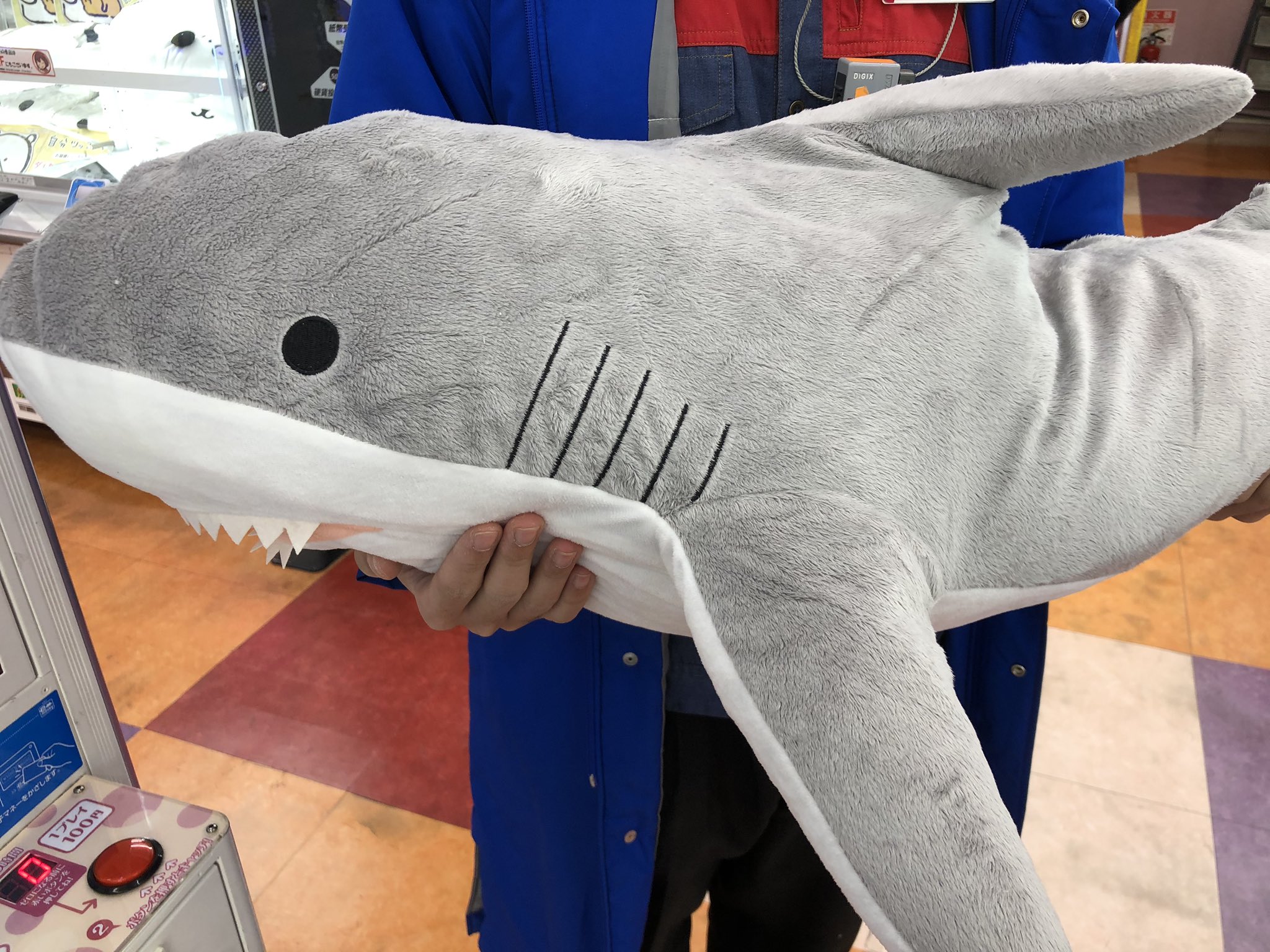 リアルワールド ホオジロザメ 2点セット 新品 Big サメ ビックサイズリアルワールド サメ ホオジロザメ 2点セット 新品 ビックサイズ Big