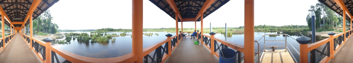 lynnza79's tweet image. #pancing #tasikbera