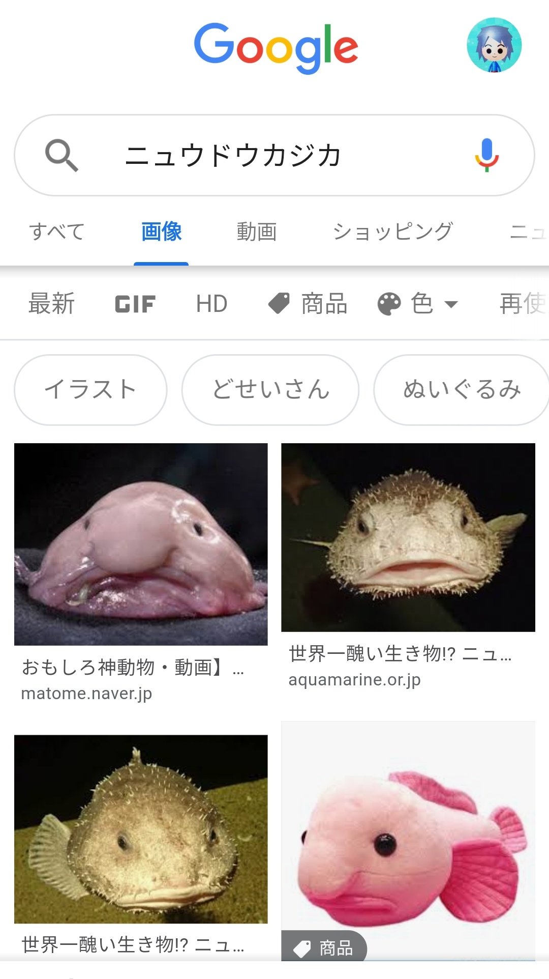 いラインアップ 深海魚のぬいぐるみ2 ニュウドウカジカ sipcodelabs.com.br