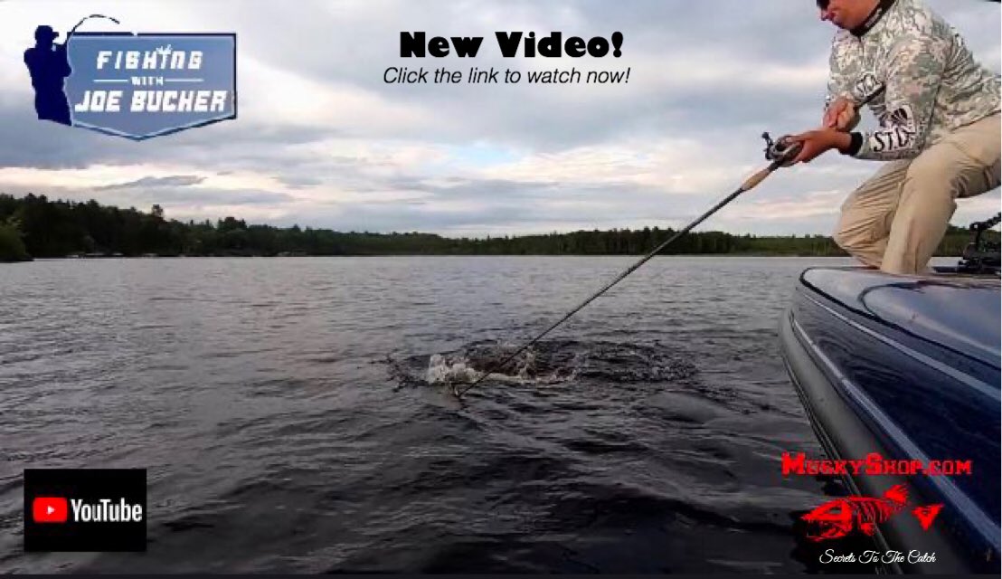 BucherJoe's tweet photo. New video! Boatside strike! Pressure situation!!! Click the link to watch what happens. https://t.co/tplV0d0qQ2 #muskies #biggamefishing #fishwithteeth #musky360 https://t.co/SyVjkIJQOt